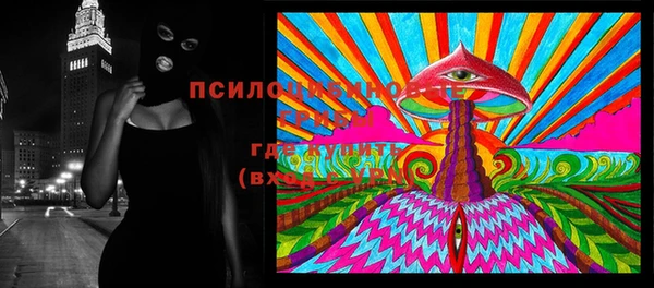 соль курить ск Алексеевка