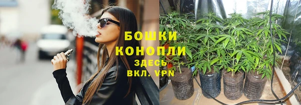 spice Алзамай